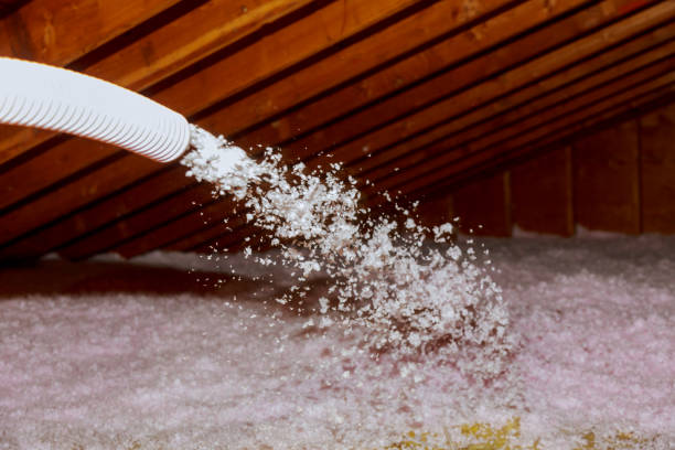Types of Insulation We Offer in Punaluu, HI