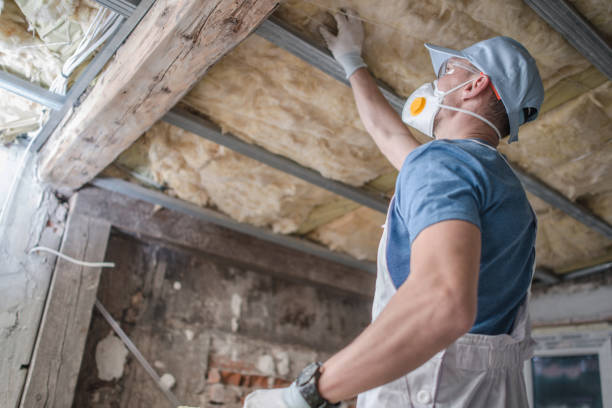 Best Spray Foam Insulation in Punaluu, HI
